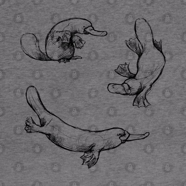 Sketches of a Platypus by AniaArtNL